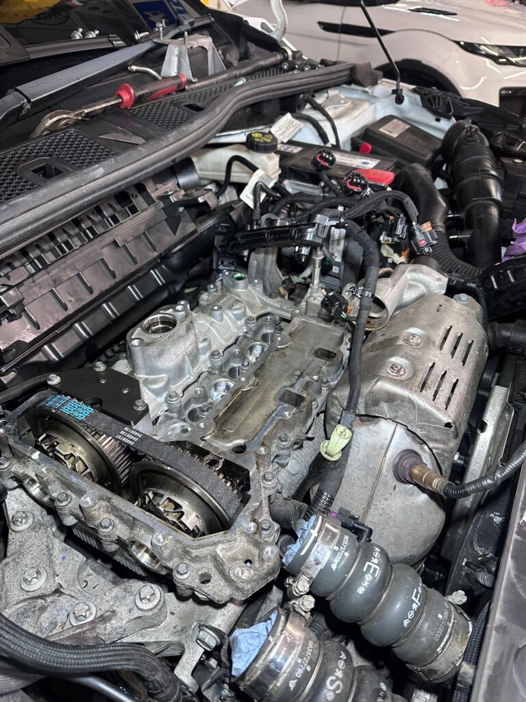 645649931 122117134605157737 1751779650065976641 n (1)